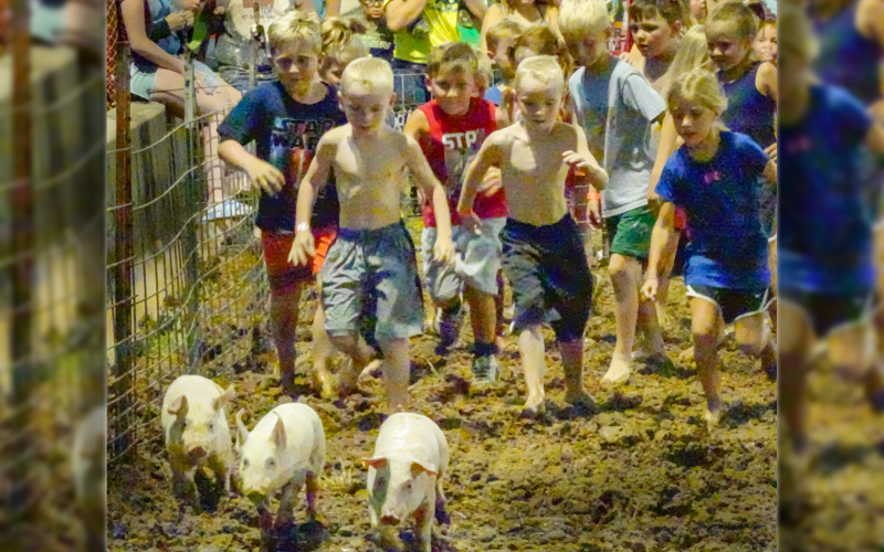 MAD SCRAMBLE to get their pig in the Youth Fair Pig Scramble.